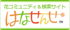 はなせんせ